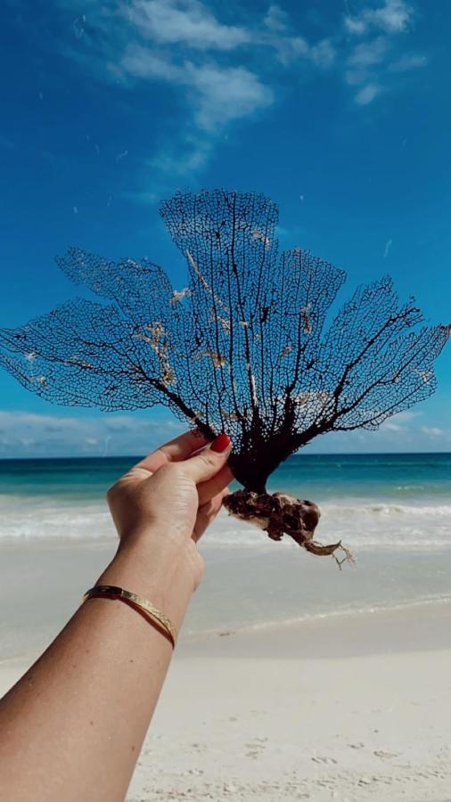 Playa Mambo Eco Cabanas Hotel Tulum Ngoại thất bức ảnh